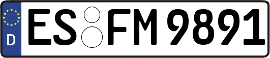 ES-FM9891