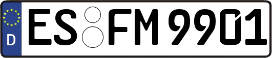 ES-FM9901