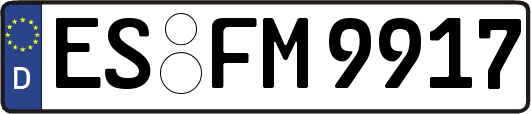 ES-FM9917
