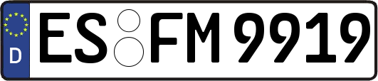 ES-FM9919