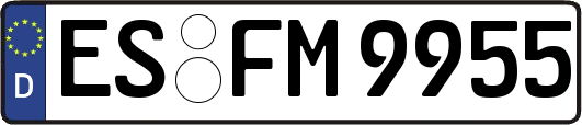 ES-FM9955