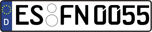 ES-FN0055