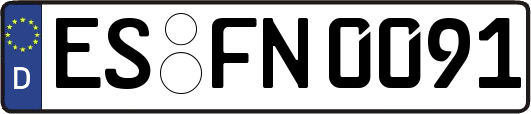 ES-FN0091