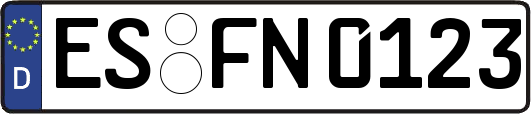 ES-FN0123