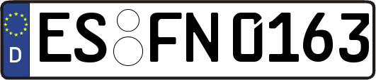 ES-FN0163