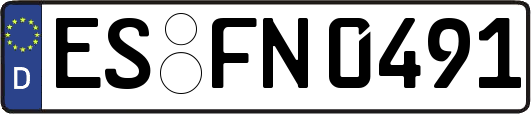 ES-FN0491