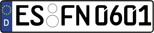 ES-FN0601