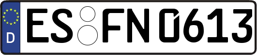 ES-FN0613