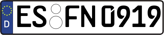 ES-FN0919