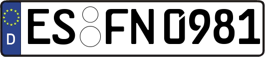 ES-FN0981