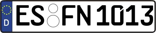 ES-FN1013