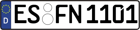 ES-FN1101