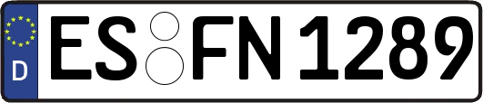 ES-FN1289