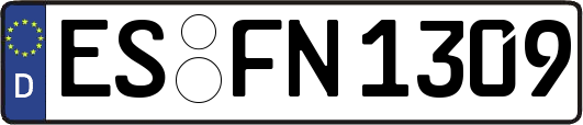 ES-FN1309