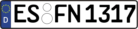 ES-FN1317