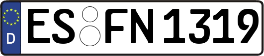 ES-FN1319