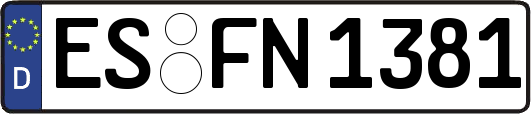 ES-FN1381