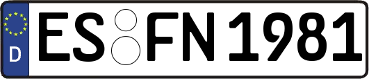ES-FN1981