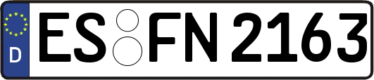 ES-FN2163