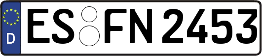 ES-FN2453