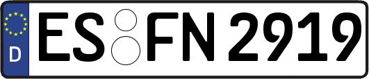 ES-FN2919