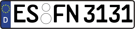 ES-FN3131