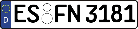 ES-FN3181