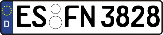 ES-FN3828