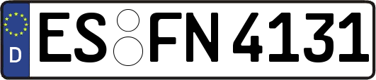 ES-FN4131