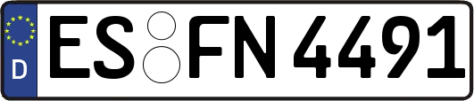 ES-FN4491