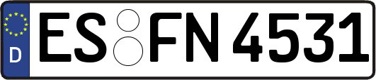 ES-FN4531