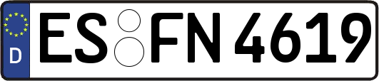 ES-FN4619