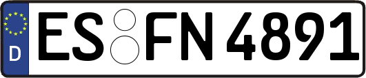 ES-FN4891