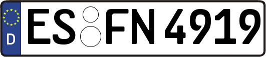 ES-FN4919