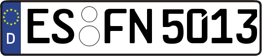 ES-FN5013