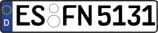 ES-FN5131