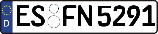 ES-FN5291