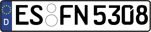 ES-FN5308