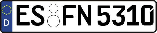 ES-FN5310