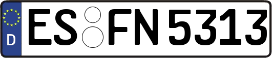 ES-FN5313