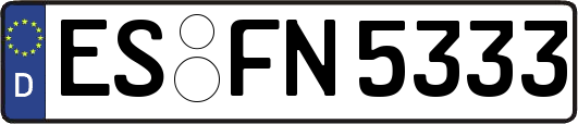 ES-FN5333