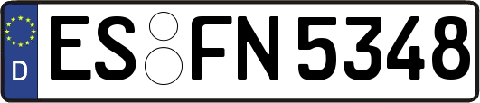 ES-FN5348