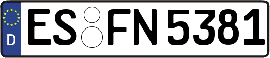 ES-FN5381