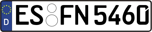 ES-FN5460