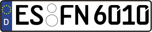ES-FN6010