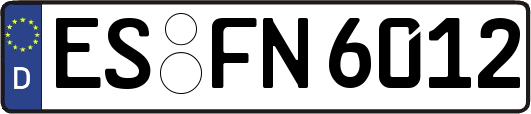ES-FN6012