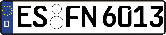 ES-FN6013