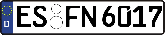 ES-FN6017