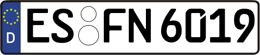 ES-FN6019
