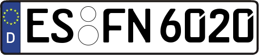 ES-FN6020